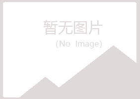 阳山县从安造纸有限公司